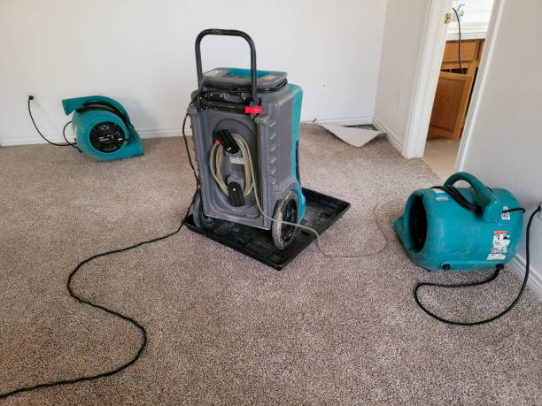 Best Flood damage cleanup  in Swisher, IA