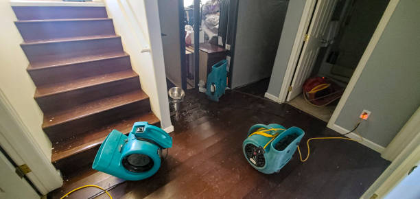 Best Ceiling water damage repair  in Swisher, IA