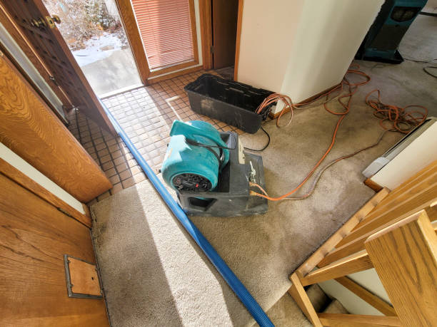 Best Water damage repair service  in Swisher, IA