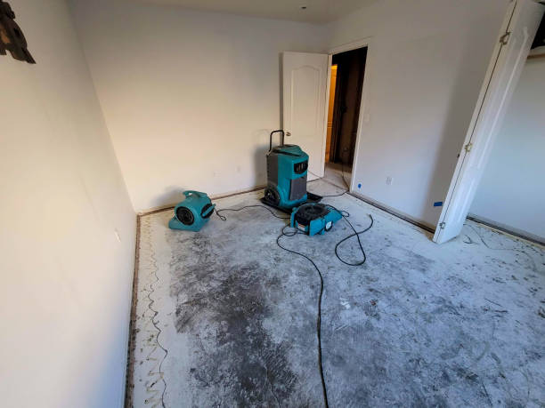 Professional Water damage restoration in Swisher, IA