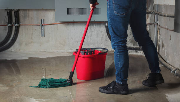 Best Flood restoration services  in Swisher, IA