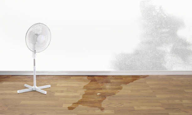 Best Sewage cleanup and water damage restoration  in Swisher, IA