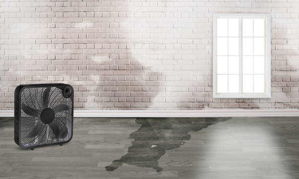 Best 24-hour water damage restoration  in Swisher, IA