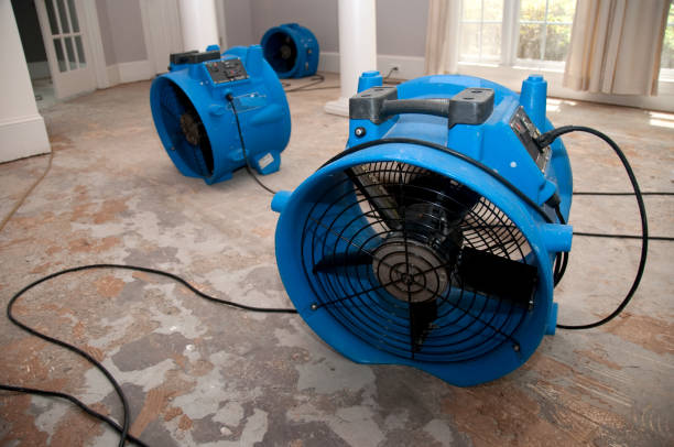 Best Mold removal after water damage  in Swisher, IA