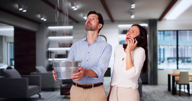 Best Fire Damage Restoration  in Swisher, IA