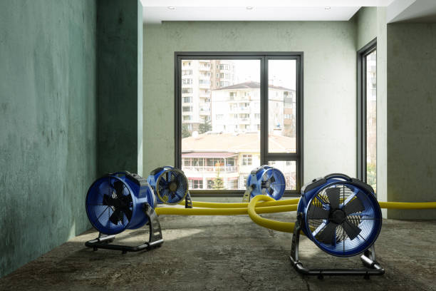 Best Emergency water damage restoration  in Swisher, IA